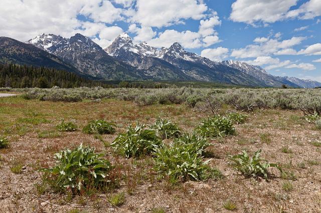 045 Grand Teton NP.jpg